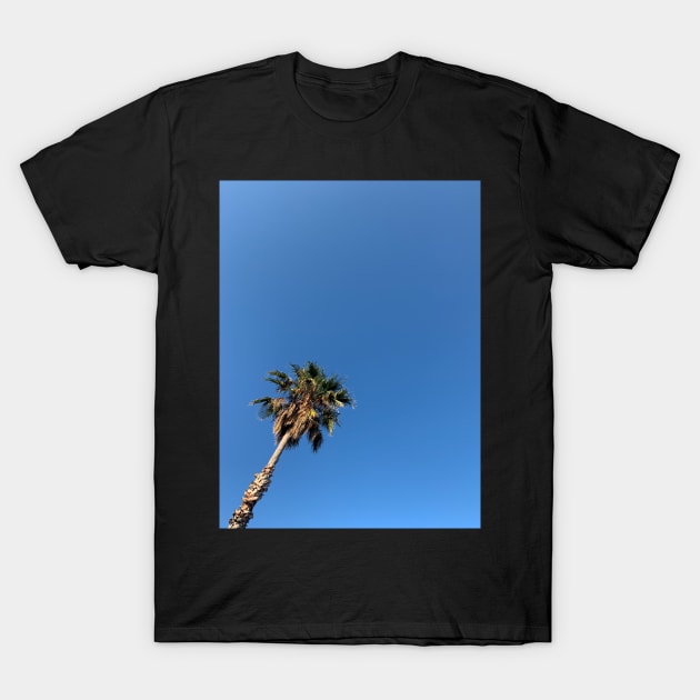 Palm Blue Sky Summer T-Shirt by eleonoraingrid
